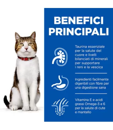 Hill's Science Plan gatto mature adult 7+ pollo 7 kg