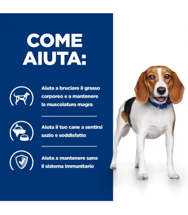 Hill's Prescription Diet Cane weight loss r/d 350 gr