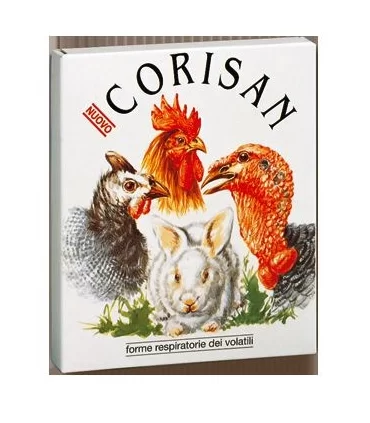 Chifa corisan nuovo 100 gr