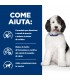 Hill's Prescription Diet Cane urinary care c/d multicare pollo 4 kg