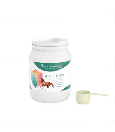 Phytoformulavet GI solution 1 kg