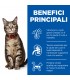 Hill's Science Plan Gatto adult pesce oceanico busta 85 gr