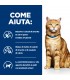 Hill's Prescription Diet Gatto c/d multicare urinary care pollo 1,5 kg