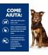 Hill's Prescription Diet cane metabolic weight loss & maintenance agnello e riso 1,5 kg