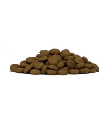 Forza 10 cane mono diet adult medium cervo con patate 12 kg
