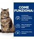 Hill's Prescription Diet Gatto Gastrointestinal biome spezzatino pollo e verdure 82 gr