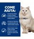 Hill's Prescription Diet gatto c/d multi stress urinary care 1,5 kg