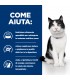 Hill's Prescription Diet gatto i/d digestive care pollo 156 gr