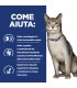 Hill's Prescription Diet gatto kidney care k/d pollo 400 gr