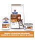 Hill's Prescription Diet gatto kidney care k/d pollo 400 gr
