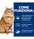 Hill's Prescription Diet gatto k/d + mobility 12 buste 85 gr