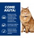 Hill's Prescription Diet gatto k/d + mobility 12 buste 85 gr