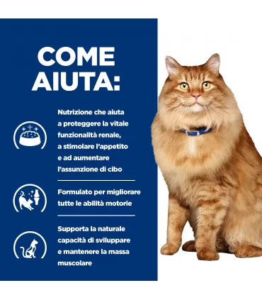 Hill's Prescription Diet gatto k/d + mobility 12 buste 85 gr