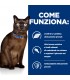 Hill's Prescription Diet Gatto Diabetes care m/d 1,5 kg