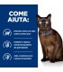 Hill's Prescription Diet Gatto Diabetes care m/d 1,5 kg