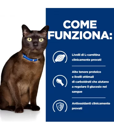 Hill's Prescription Diet Gatto Diabetes care m/d 156 gr