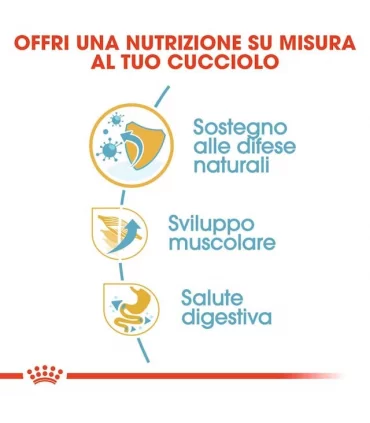 Royal canin boxer puppy 12 kg