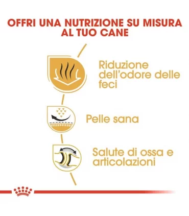 Royal canin bulldog adult 3 kg