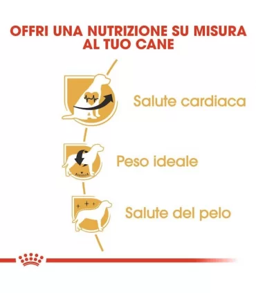 Royal canin cavalier king charles adult 1,5 kg