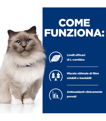 Hill's Prescription Diet Gatto weight loss r/d feline 1,5 kg