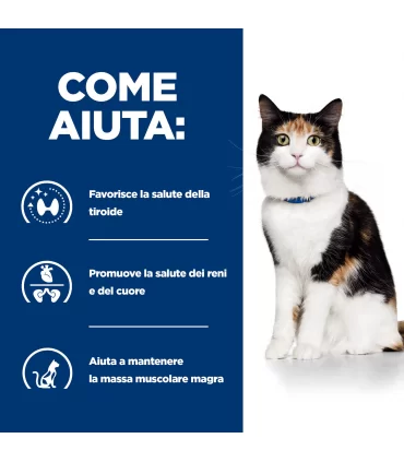 Hill's Prescription Diet Gatto Thyroid care y/d lattina 156 gr