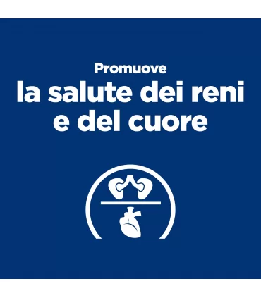 Hill's Prescription Diet Gatto Thyroid care y/d lattina 156 gr