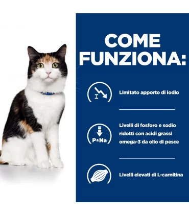 Hill's Prescription Diet Gatto Thyroid care y/d lattina 156 gr