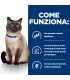 Hill's Prescription Diet Gatto z/d food sensitivities lattina 156 gr