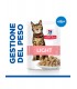 Hill's Science Plan Gatto Adult light pesce dell'oceano busta 85 gr