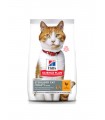 Hill's Science Plan Gatto Adult Sterilised Pollo 300 gr