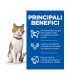 Hill's Science Plan Gatto Adult Sterilised Pollo 300 gr