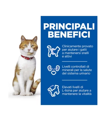 Hill's Science Plan Gatto Adult Sterilised Pollo 300 gr