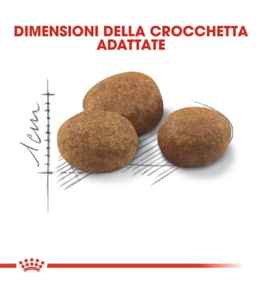 Royal Canin gatto Sterilised 7+ 400 gr