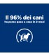 Hill's Prescipion Diet cane metabolic weight loss & maintenance pollo 10 kg