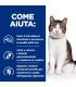 Hill's Prescription Diet Gatto Gastrointestinal biome digestive fibre care stress pollo 3 kg