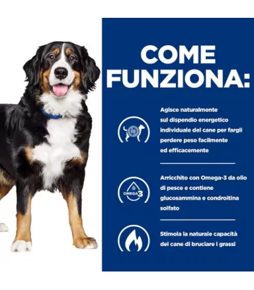 Hill's Prescription Diet Cane metabolic mobility weight j/d 370 gr