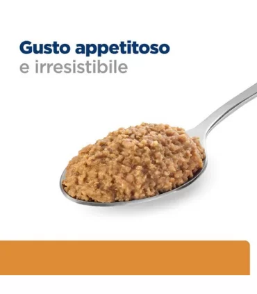 Hill's Prescription Diet Cane kidney care k/d 350 gr