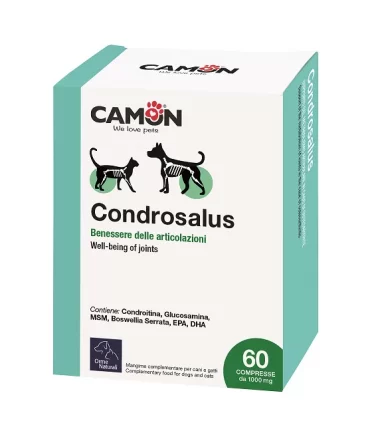 Camon condrosalus 60 compresse 1000 mg G879