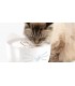 Catit Pixi cat drinking fountain combo pack bianca