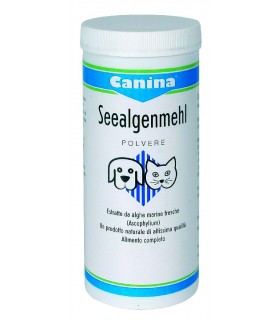 Drn seealgenmehl polvere 250 gr