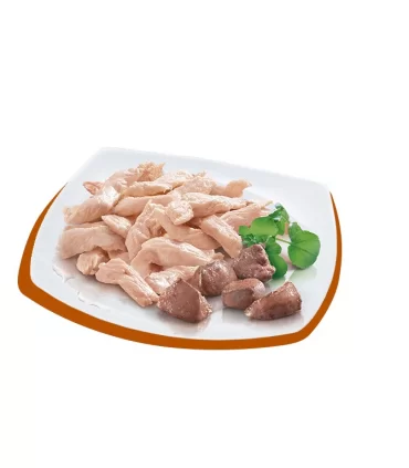 Petreet Adult A26 Sfilaccetti Pollo con Fegatini 70 gr