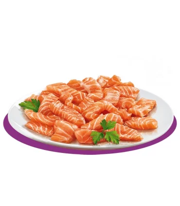 Petreet Special Adult SA02 100% Monoproteico Buste Salmone 70 gr
