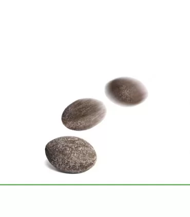 Royal canin cane treats gastrointestinal 230 gr