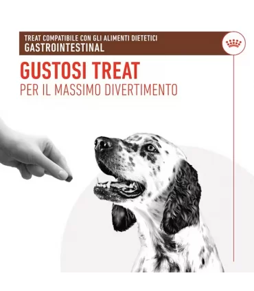 Royal canin cane treats gastrointestinal 230 gr