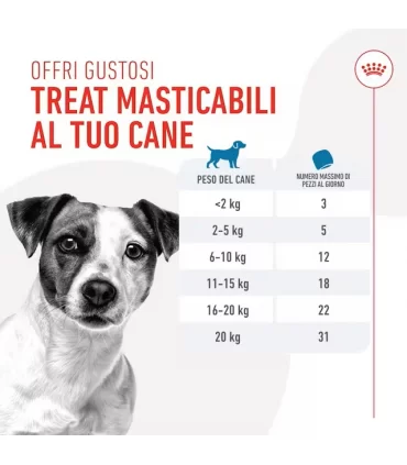 Royal canin cane treats training 110 gr