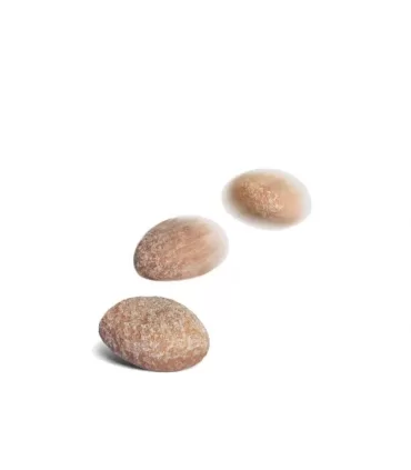 Royal canin cane treats hypoallergenic 230 gr