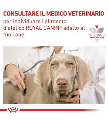 Royal canin Gastrointestinal cane 400 gr