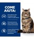 Hill's Prescription Diet Gatto Gastrointestinal biome digestive fibre care pollo 12 buste 85 gr