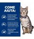 Hill's Prescription Diet gatto c/d urinary stress metabolic 12 buste 85 gr pollo