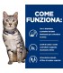 Hill's Prescription Diet gatto c/d urinary stress metabolic 12 buste 85 gr pollo